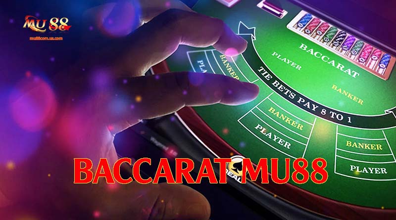 Trò chơi baccarat ngày càng thu hút nhiều người